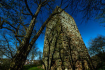 Burg Sponheim-Wohnturm 50-dark by Erhard Hess