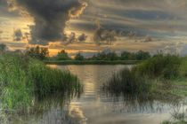 Makkum ijsselmeer Natur by Martin  Hölzermann