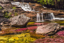 Caño cristales, waterfalls by Jorge Ivan vasquez