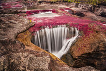 Caño cristales, Colombia by Jorge Ivan vasquez