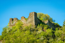 Rosenburg Argenschwang 02 von Erhard Hess