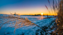 Sonnenuntergang im Winter von mindscapephotos