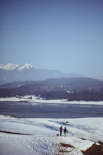 Frozen couple von Diana Boariu