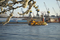 Harbour Cherry Blossom von Julian Berengar Sölter