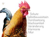 Krafttier Hahn - Wachsamer Beschützer by Astrid Ryzek