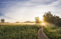 sunrise in the field with fog von césarmartíntovar cmtphoto