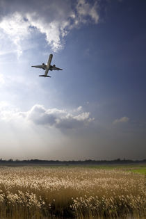 Flieger, grüß mir die Sonne II by Thomas Schaefer