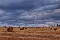 FIELD I by Peter Bundrück