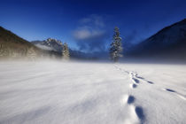 Winter in Oberbayern von Ive Völker