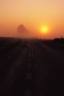 Sonnenaufgang im Nebel