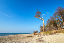 Strand an der Küste der Ostsee bei Graal Müritz by Rico Ködder