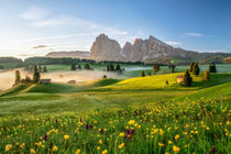 Frühling auf der Seiser Alm by Achim Thomae