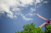 Moulin Pink III by Thomas Schaefer