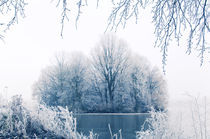 Winter Blues IV von Thomas Schaefer