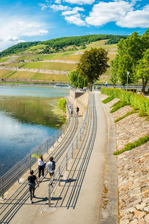 Rhein-Nahe-Eck 52 von Erhard Hess