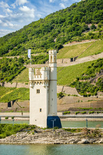 Bingen Mäuseturm 09 von Erhard Hess