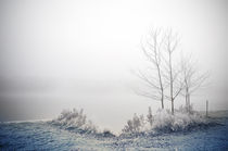 Winterlandschaft II by Thomas Schaefer