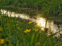 Abend im Frühling by Jens Uhlenbusch