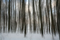 FROZEN WORLD  I von Peter Bundrück