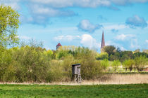 Blick auf die Nikolaikirche und Petrikirche in Rostock von Rico Ködder