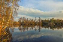 'Uferlandschaft Nillsee im Pfrunger-Burgweiler Ried bei Ostrach-Wilhelmsdorf' by Christine Horn