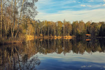 'Uferlandschaft mit Holzhütte am Moorsee im Pfrunger-Burgweiler Ried' von Christine Horn