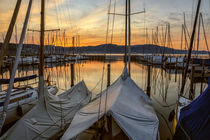 Morgendämmerung im Jachthafen Bodman-Ludwigshafen - Bodensee by Christine Horn