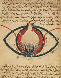 Anatomy of the Eye von Al-Mutadibi
