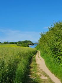 Sommer an der Ostsee bei Sierksdorf by ralf werner froelich