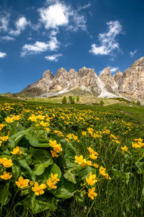 Frühling in Südtirol by Achim Thomae