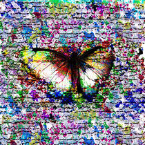 Schmetterling auf Mauer von againstallodds68