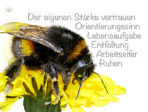 Krafttier Hummel - Der eigenen Stärke vertrauen by Astrid Ryzek