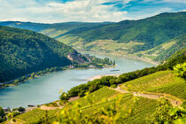 Rhein bei Assmannshausen 56 von Erhard Hess