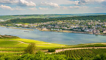 Bingen-Rochusberg 12 by Erhard Hess