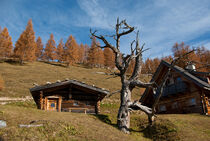 Berglandschaft im Herbst von Iryna Mathes