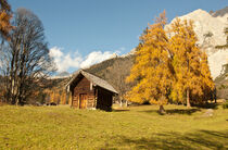 Herbst in den Bergen von Iryna Mathes