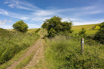 Monarch's Way Climb by Malc McHugh