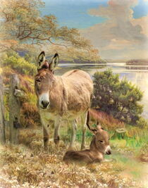 Donkey and Foal von Trudi Simmonds