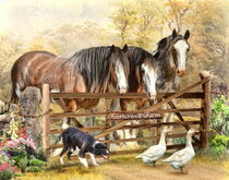 Featherwell Farm by Trudi Simmonds