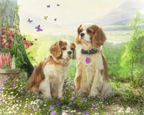 Cute Cavaliers von Trudi Simmonds