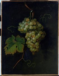 Grapes  by Tobias Stranover
