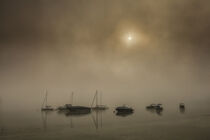 'Boote vor Iznang auf der Halbinsel Höri im Nebel - Bodensee' by Christine Horn