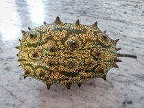 Kiwano von Heike Loos