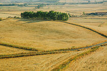 Landscape, Italy (Sardinia) von whiterabbitphoto