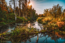 Naturschutzgebiet Wilhelmsdorf von mindscapephotos