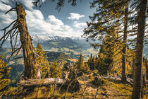 Ausblick Allgäuer Alpen von mindscapephotos