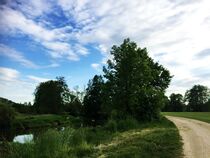 Zwischen Krondorf und Fronberg in Schwandorf von Xenia Wilk