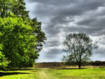 'Landschaft am Niederrhein' von maja-310