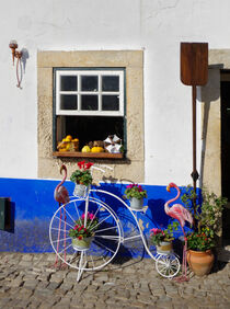 Dekoration mit Hochrad und Flamingos vor einer blau weißen Hauswand by Berthold Werner