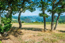 Rheinbay - Edgar-Reitz-Blick 14 von Erhard Hess